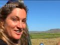 King lion jeopardises hunt in the wild - BBC wildlife