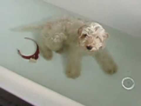 Bath Time