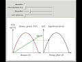 Surplus Production Models and Equilibrium Harvest