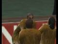 Pes6 Struzzi vs Dinosauri