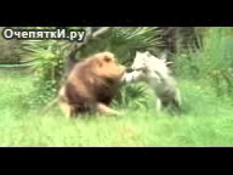 Смотреть фильм в хорошем качестве унесённые ветром