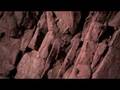 quatre estacions - tardor