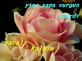 yaln-z-nilg-n-i-in