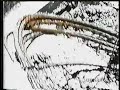 Scotch Tape (1963)- Jack Smith