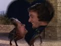 Errol Flynn - The Adventures Of Robin Hood (1938)