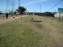 Scout and Bridget at the dog park (1)