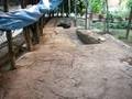 videos de Leopard 2A6 RC in my garden - 1