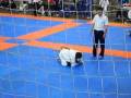 videos de pec artes marciais