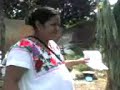 Hannal Pixan Prepa Felipe Carrillo Motul