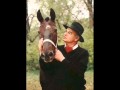 Zvonko Bogdan - Govori se da me varaš