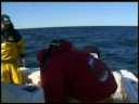 Andreas Toy Charters - Tilefish (Part 3 of 3) NJ Offshore Canyon