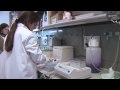 A ray of hope in the struggle against malaria