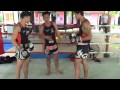 Tiger Muay Thai Techniques: Block body kick followed by knee strike