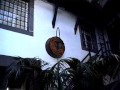 MADEIRA 2 MADEIRA 2