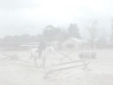 Dressage - Electric Feel /Preview/