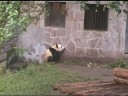 China and Yangtze by the Century Diamond part 7