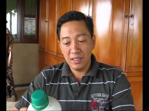 how to fertilize aloe vera