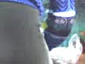 pants apretados