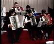 Fisarmoniche Salaris'Accordions