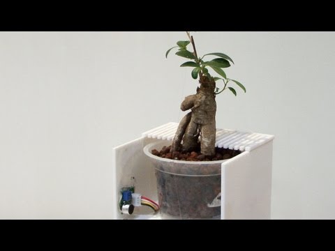 YouTube Preview Image