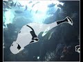 Thumbnail #1