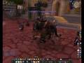videos de Big Mount