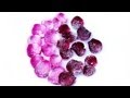 CANDIED ROSE PETALS - YouTube