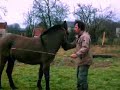 reculer avec pirate la mule