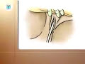 PostCare-Basic-Cente