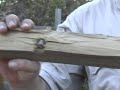 BFG 500
