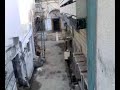 bahria public school ,shayan aslam karachi