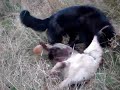 ben-ledi-part-2.html