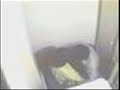 India Cyber Net Cafe Scandal Hot Guy Sucks Licks Virgin Pussy