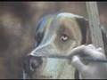 Painting a Dog - portret schilderij van hond