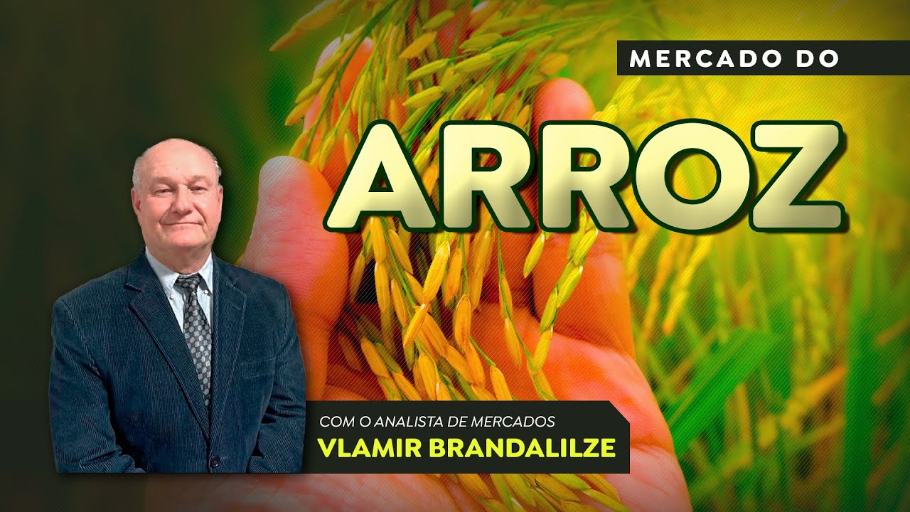 Arroz pode ter alento nas exportações; preços seguem desanimadores no mercado interno.