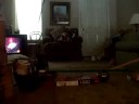 Dog jumping 2!