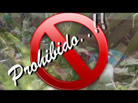 SPOT CUIDADO PROHIBICION DE EXTRACCION DE MUSGO SPOT CUIDADO PROHIBICION DE EXTRACCION DE MUSGO