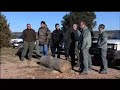 CHASSE : Fédération Chasseurs Hérault 2007-3/3