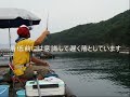 アコヤ貝を使用したチヌ釣り