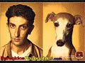 parecido entre los perros y sus dueños