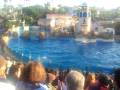 Sea World