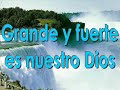 grande y fuerte - Miel San Marcos