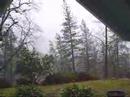 The Big Storm Jan 08
