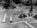 Teak Logging With Elephants In Siam 1925