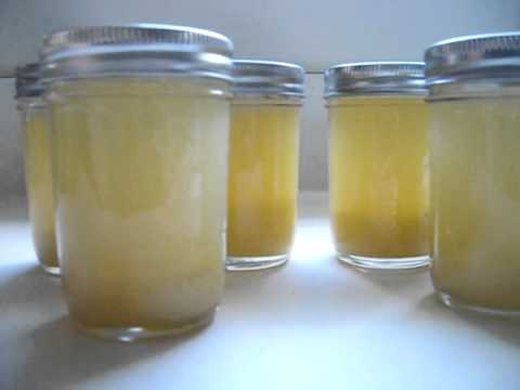 how to preserve lemon juice