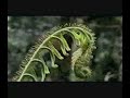 As Últimas Áreas Silvestres da Terra (Biodiversidade) As Últimas Áreas Silvestres da Terra (Biodiversidade)