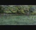As Últimas Áreas Silvestres da Terra (Biodiversidade)