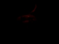 MOV00085.MP4