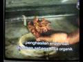 Garbage Enzyme DIY