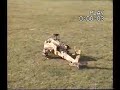 RC helicopter